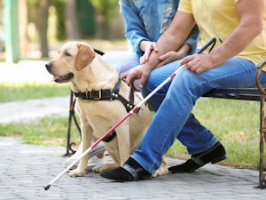 How assistance dogs can help people with disability